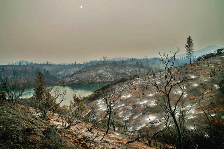 Post Wildfire Hazards
